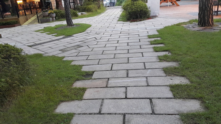 d94f54caba23e1c3ceebcf73b8ac4db8_1712824